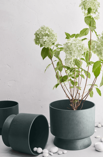 Hovedbilde Rosendahl RO Blomsterpotte Resirkulert Grønn Ø30 ...