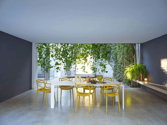 Hovedbilde Kartell Masters Stol Hvit