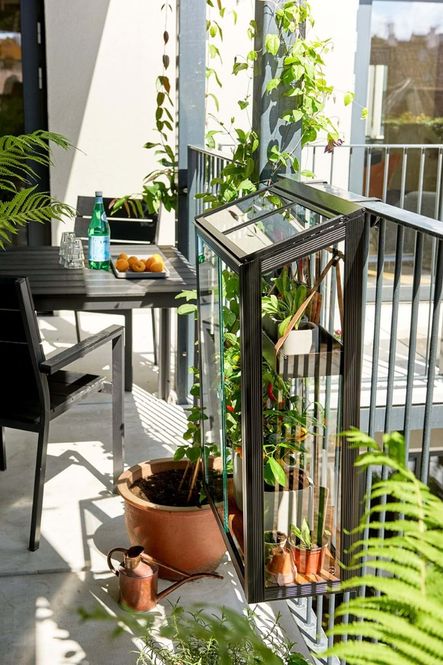 Hovedbilde Juliana Urban Balcony Drivhus Herdet Glass Sort ...