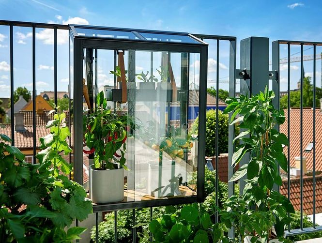 Hovedbilde Juliana Urban Balcony Drivhus Herdet Glass Sort ...