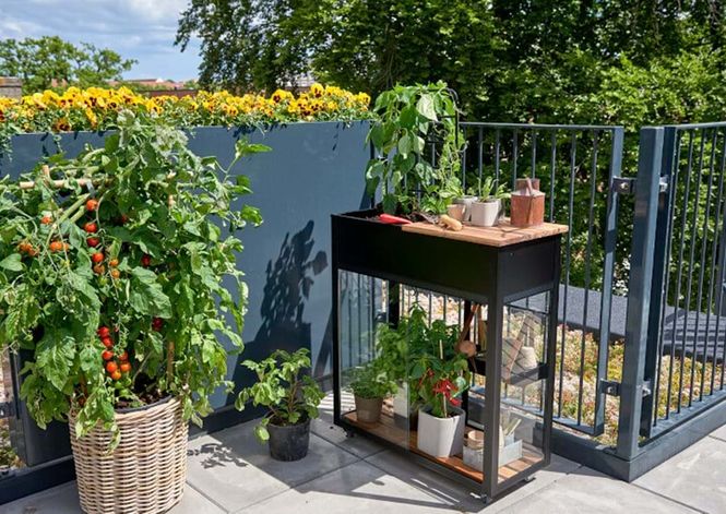 Hovedbilde Juliana Urban Vertical Drivhus Herdet Glass Sort ...