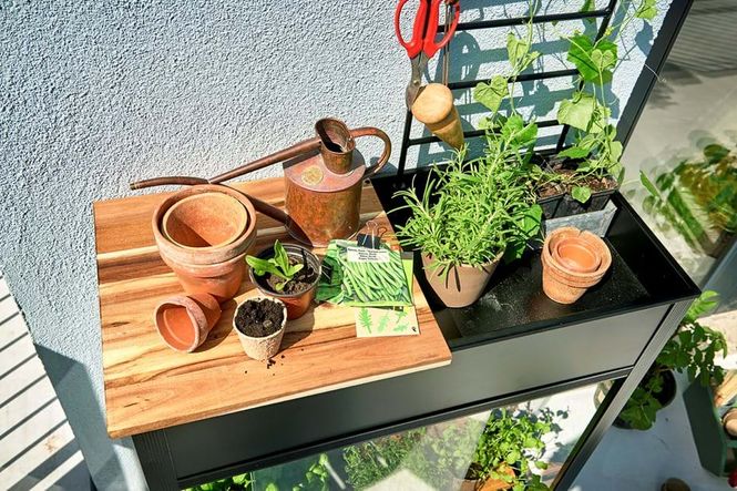 Hovedbilde Juliana Urban Vertical Drivhus Herdet Glass Sort ...