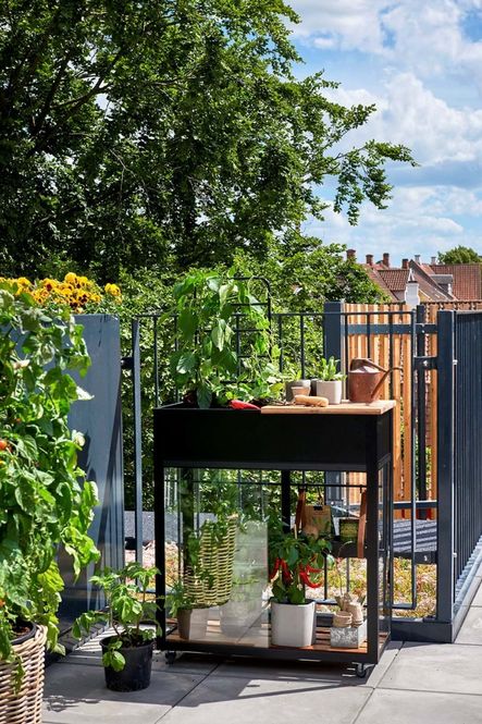 Hovedbilde Juliana Urban Vertical Drivhus Herdet Glass Sort ...