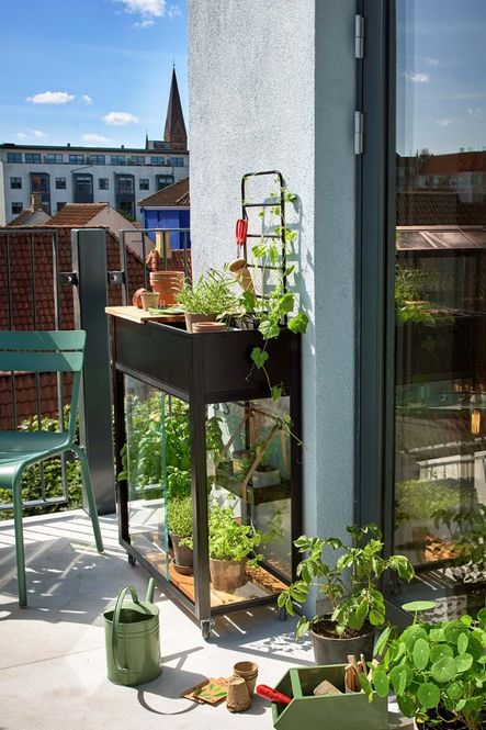 Hovedbilde Juliana Urban Vertical Drivhus Herdet Glass Sort ...