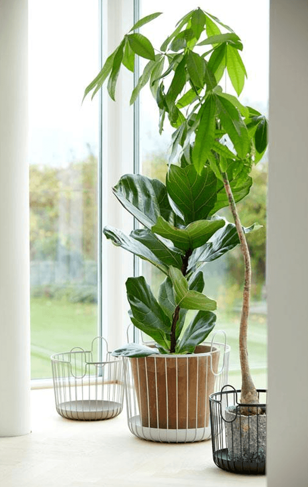 Zone Denmark Inu Basket 40x41 cm Svart