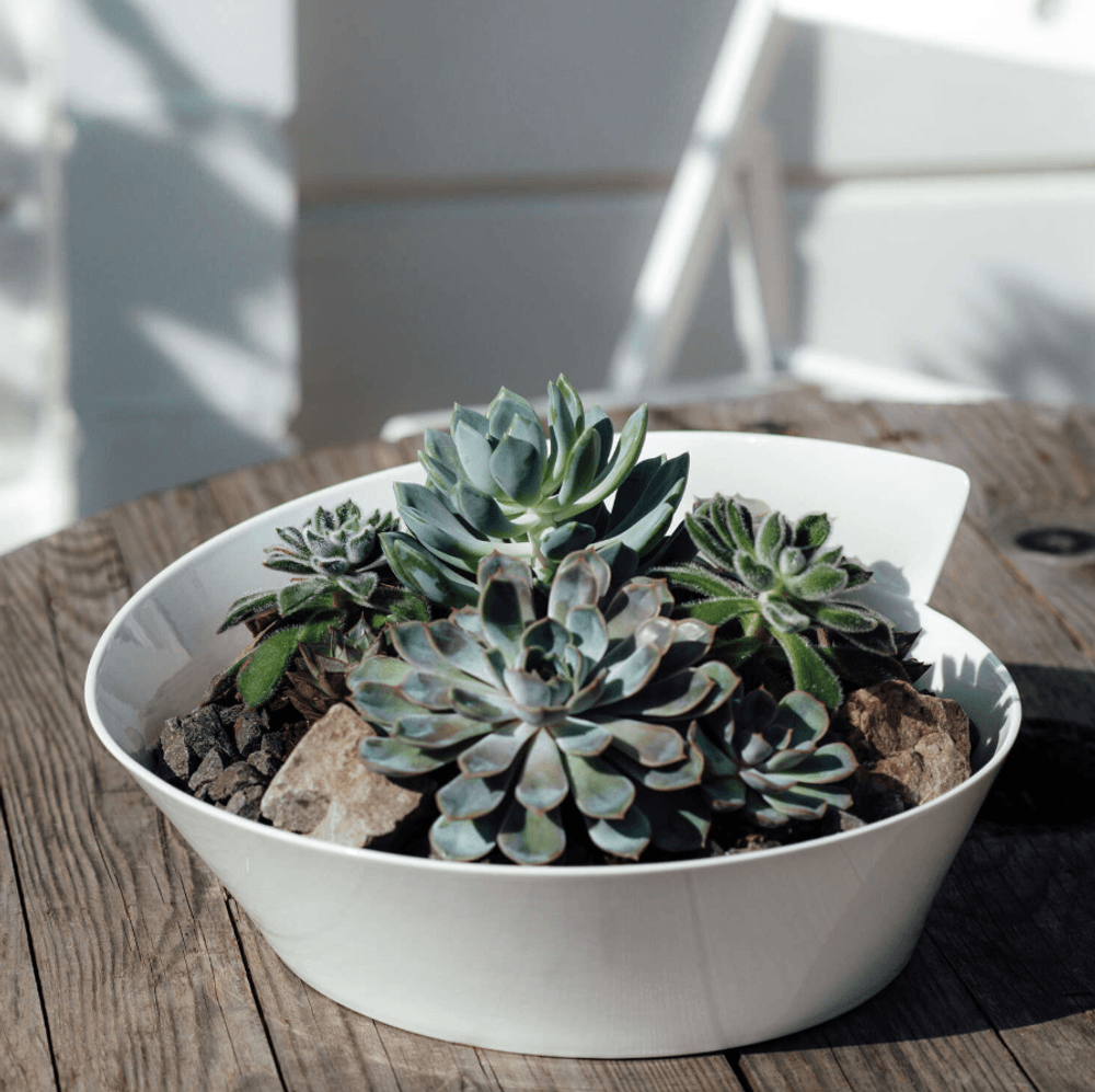 Villeroy & Boch New Wave Serveringsskål 2.8 L