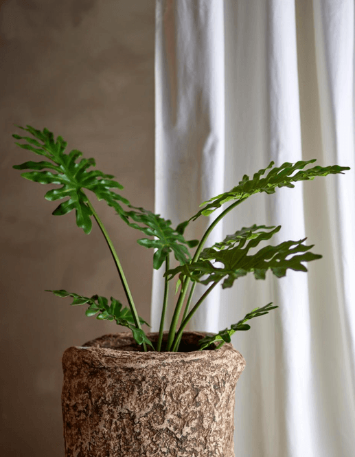 Hovedbilde Bloomingville Philodendron Kunstig Plante Grønn